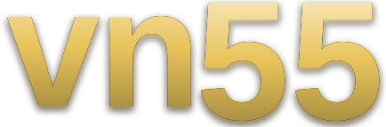 vn55 logo